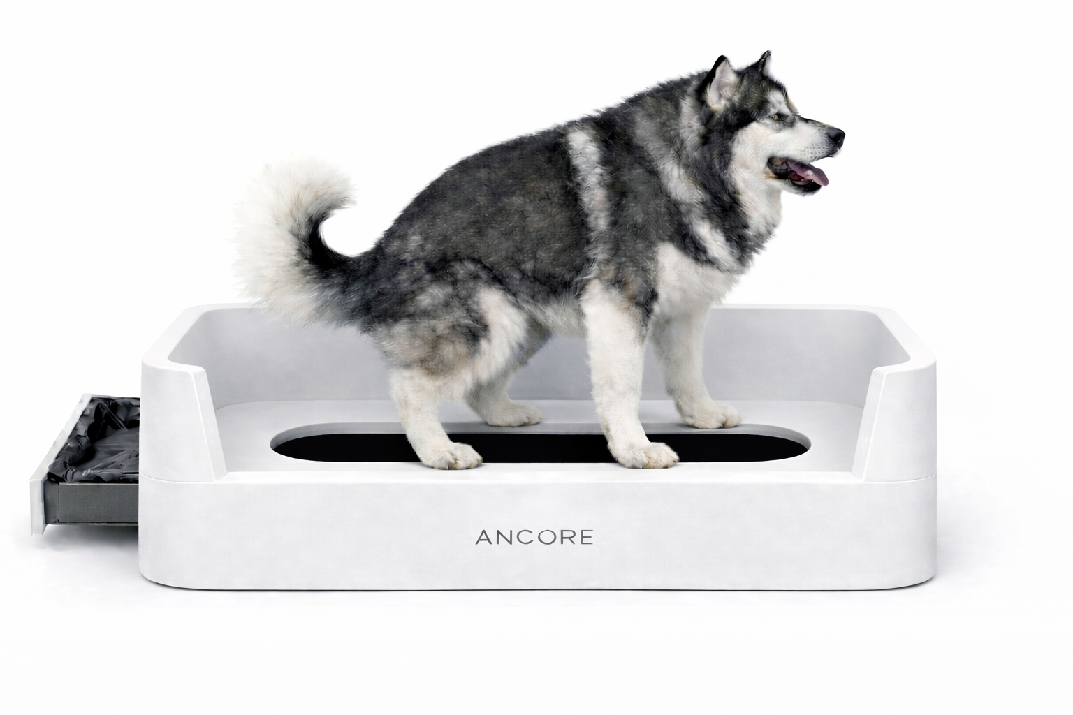 PURE X1 实景侧视